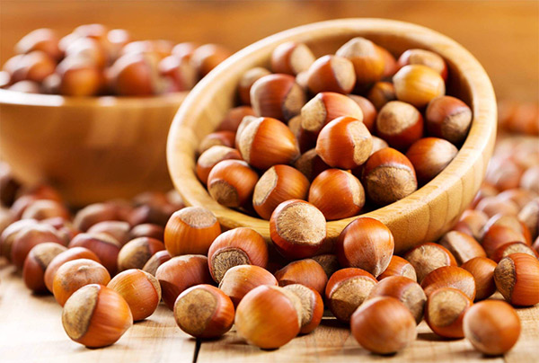 فندق